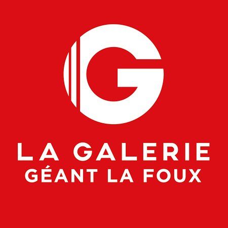 Centre commercial Geant la Foux