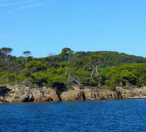 Le port de l'île de Porquerolles