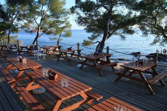 La Plage de L'Île D'Or