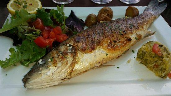 Restaurant Alkena