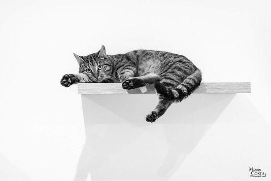 L'Instant Chat