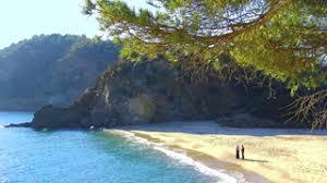 Plage De Bonporteau