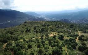 Plateau Tercier