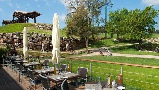 Le Provencal Golf