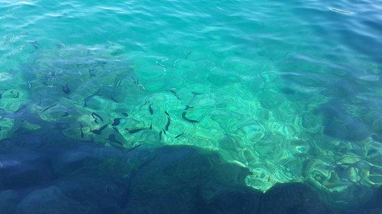 Luxury-Yachts-Services Day Tours