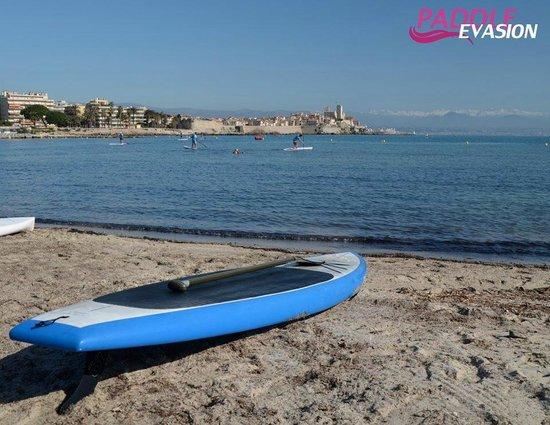 Paddle Evasion