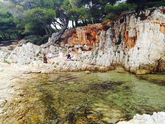Yoga Limbs French Riviera