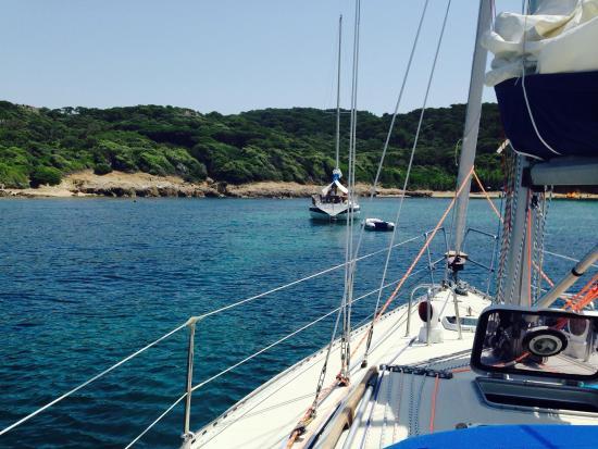 Cassis a la Voile