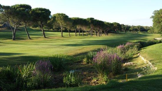 Golf Country club de Cannes Mougins