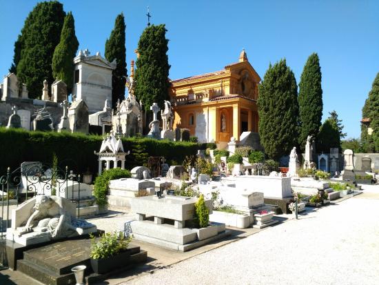 Cimetière du Monastère de Cimiez