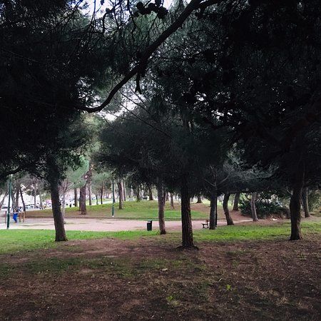 Parc des Lices
