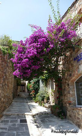 Balade des Bougainvilliers