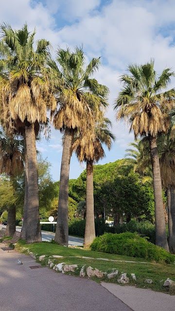 Palm Beach
