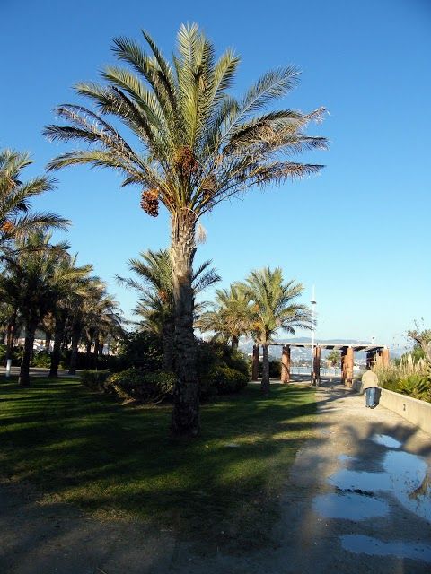 il Parc Braudel