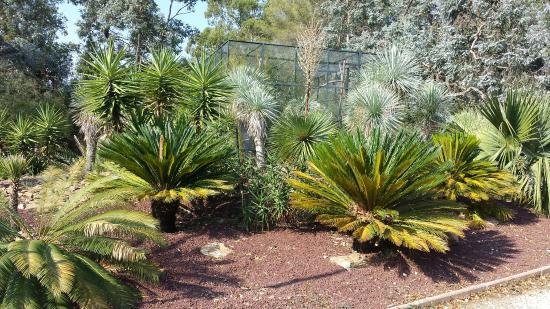 Tropical Zoo