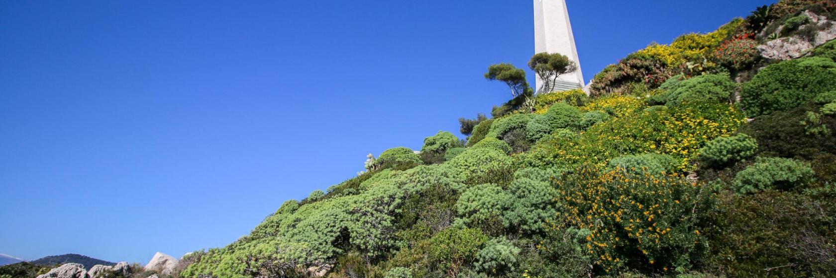Cap Ferrat