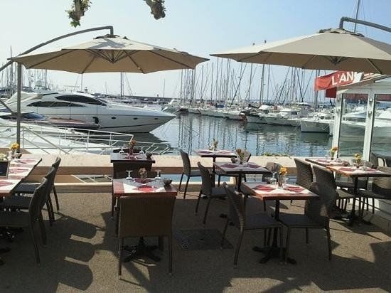 La Cigale Du Golfe