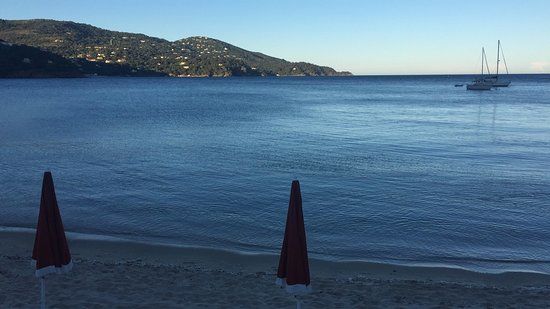 Les Canetons