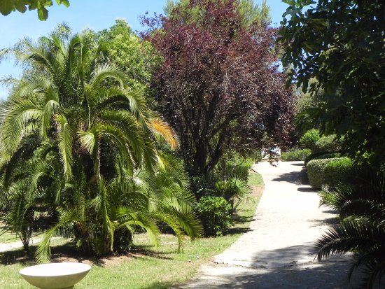 Parc Areca